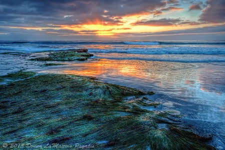 Low Tide Illuminated