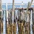 © Beth E. Higgins PhotoID# 14245213: Long Point Light - Provincetown