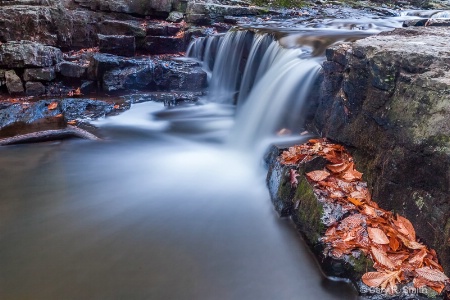 Vaughn Woods Waterfall