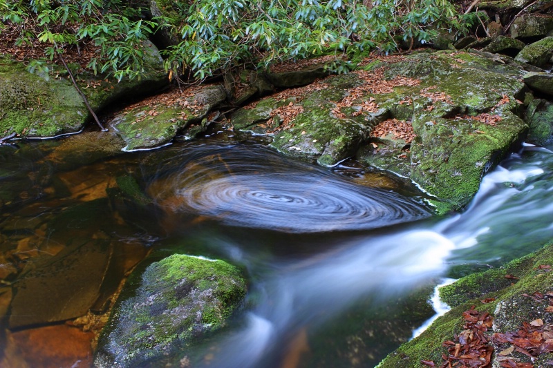 Autumn Swirl