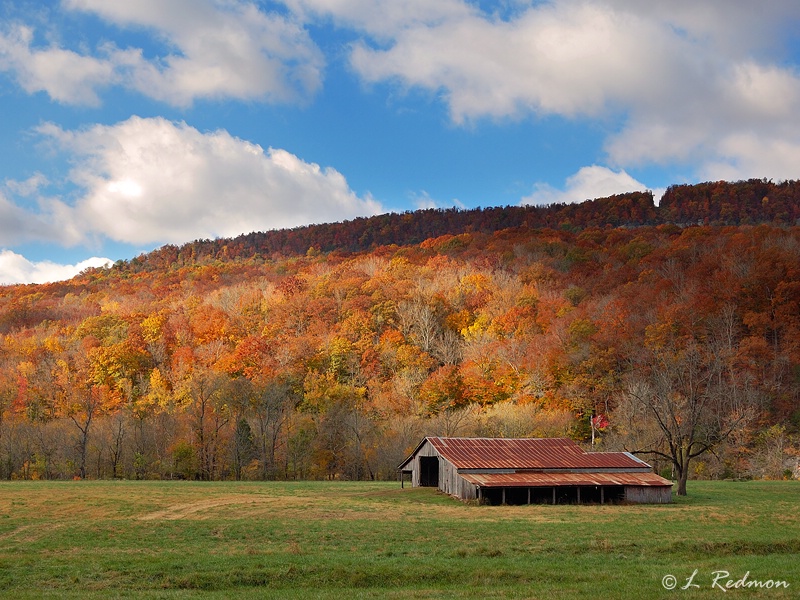 Autumn Morning