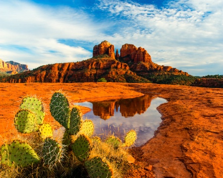 Cathedral Rock