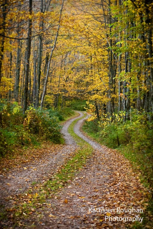 Country Road