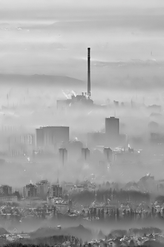 Foggy City