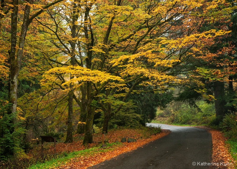 Winding Road