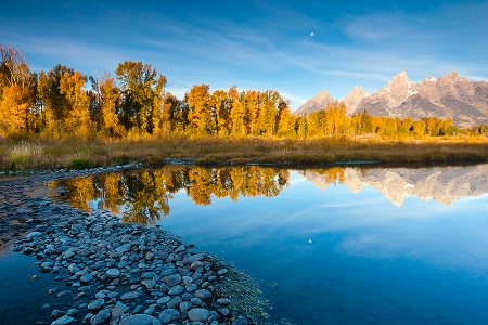 Schwabacher In The Fall