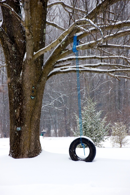 Tire Swing