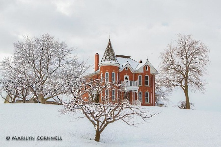 Winter WInery