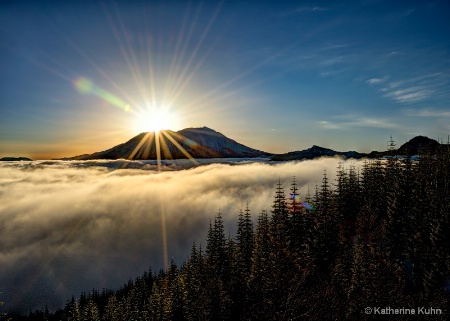 Above the Fog