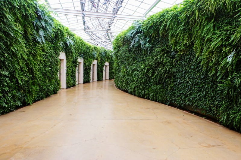 The Green Walls of Longwood