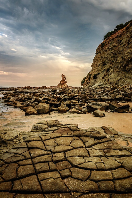 Rocky Shore