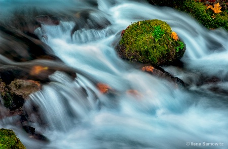 Fall at the Gorge