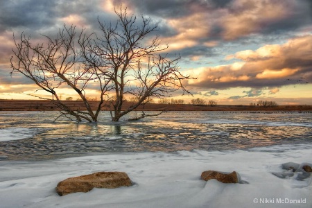 Sunset at Walnut Lake