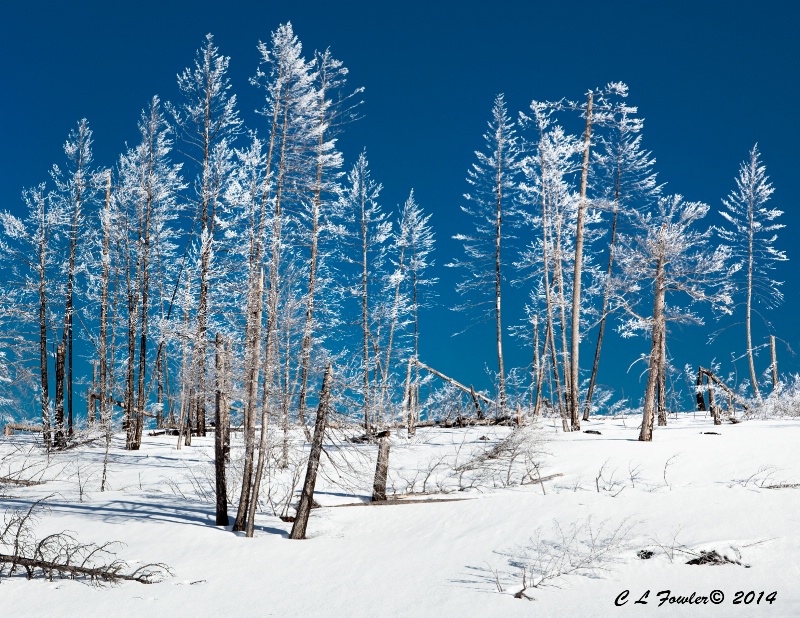 Frozen Fog