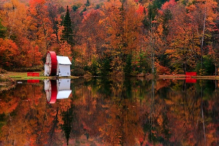 Fall Reflection