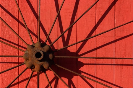 Afternoon Shadow