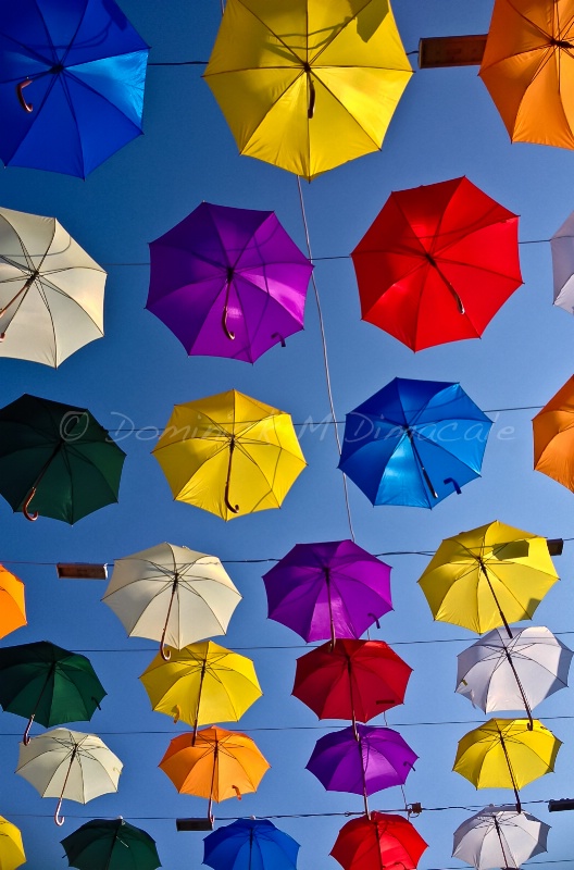 ~ ~ COLOURFUL UMBRELLAS ~ ~