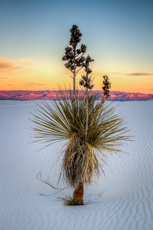 White Sands New Mexico