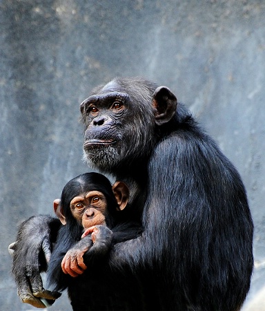 Photography Contest Grand Prize Winner - March 2014: Family Portrait