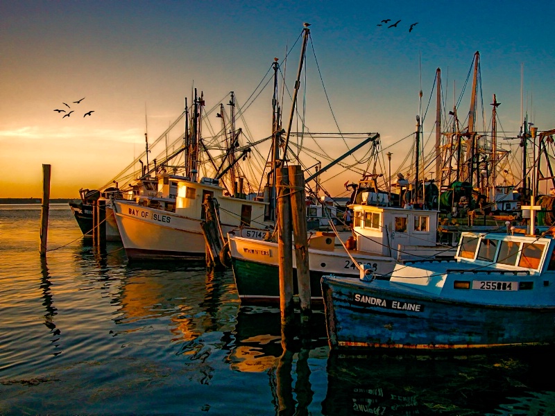 Sunset On The Fleet