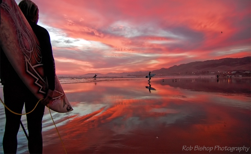 Bright Pink Pismo Beach