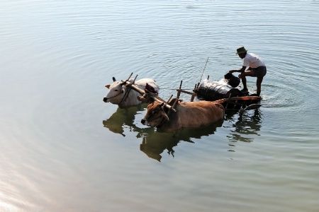 Water for daily life.