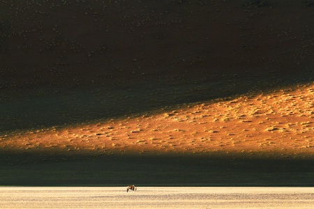 Tsauchab Valley Oryx