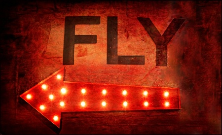 Fly