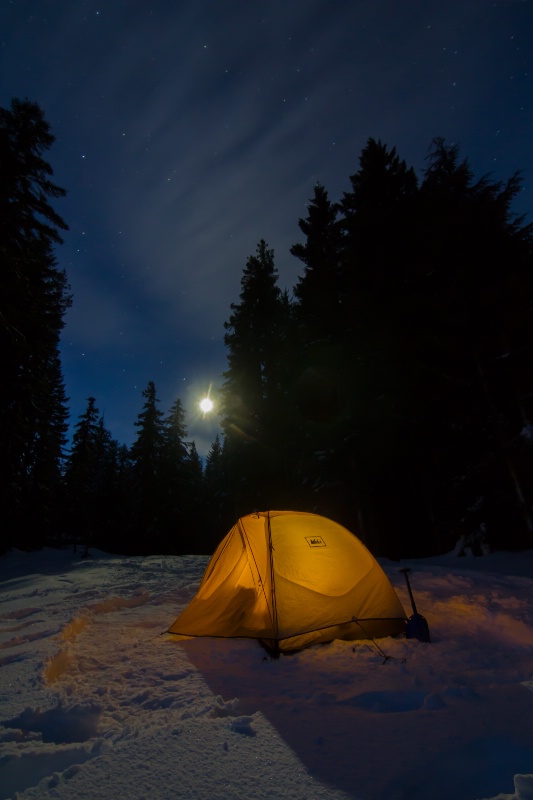 Moonlit Camping