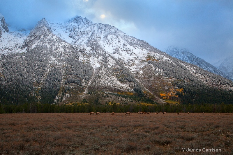 The Valley Floor