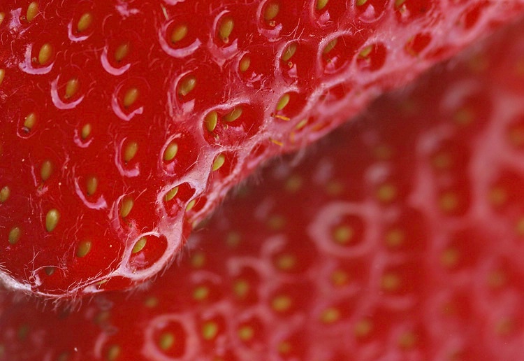 Strawberry Detail