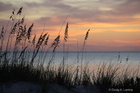 Serene Sunset