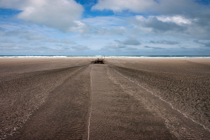 Beach Patterns