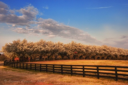 First day of Spring