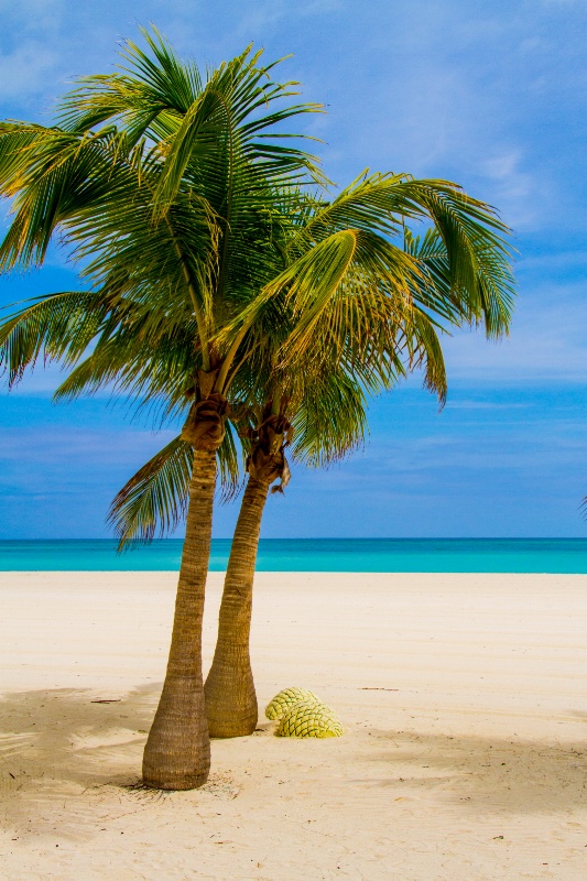 A Caribbean Beach