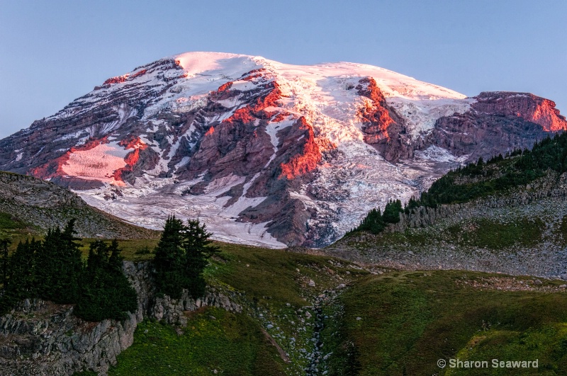 Sunrise Mt Rainier