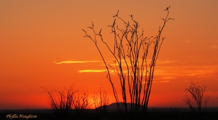 Sunset Over Yuma