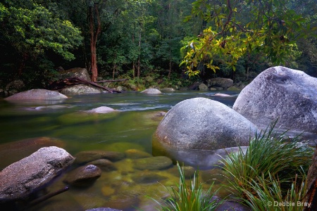 Mossman Gorge