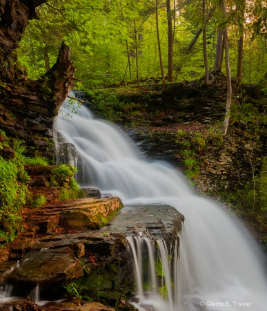 Spring 2014 Ricketts Glen