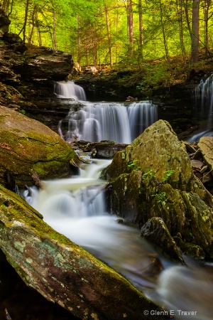 Spring 2014 Ricketts Glen #2