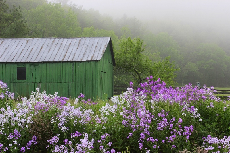 Spring On The Farm