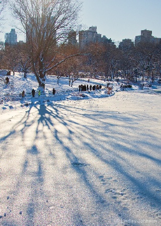 Snowy Central Park