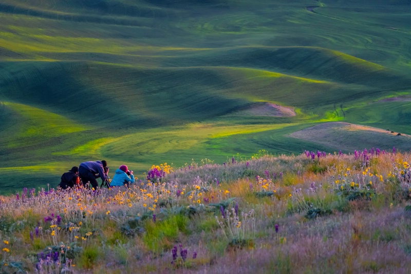 Palouse Garden