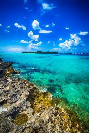 Rocky Coast, Bermuda