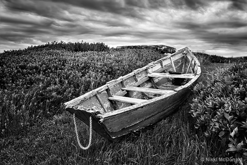 Rowboat at Prospect Point, bw