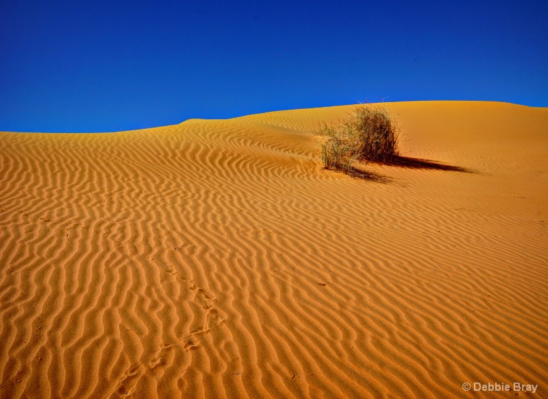 Simpson Desert, Australia