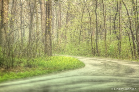 Rainy Day at the Arboretum