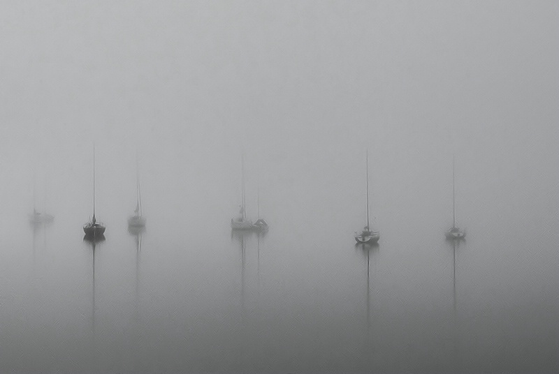 Fog on the lake