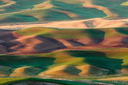 Agricultural Bands