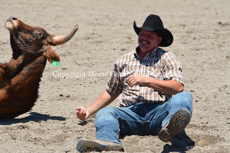 ujra parent rodeo 2014  3  - ID: 14564273 © Diane Garcia